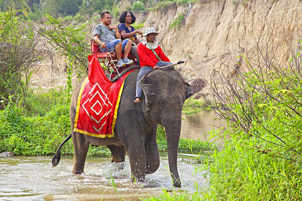chang thai thappraya safari reviews